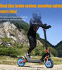TWOFISH V4 MAX Electric Scooter – 800W Motor, 57km/h Top Speed, 60km Range, NFC Unlock, Dual Disc Brakes & Dual Suspension（EU）