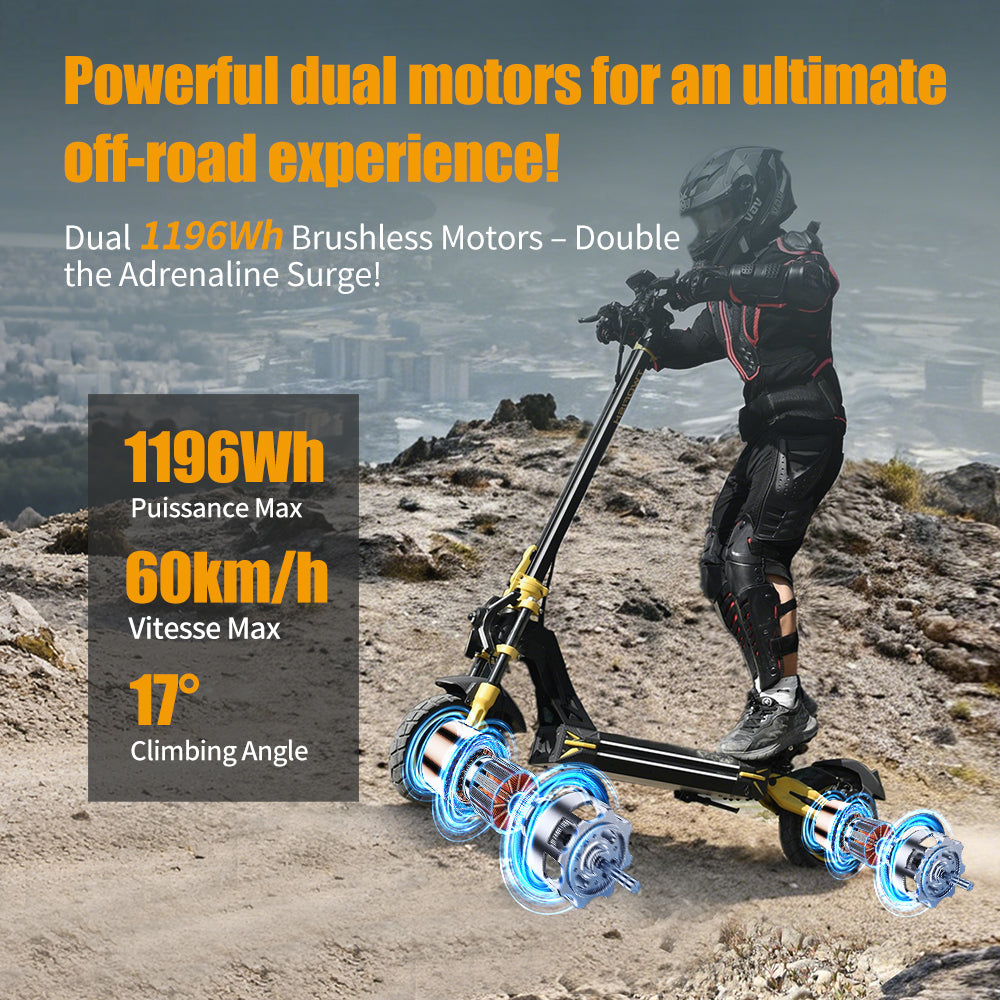 TWOFISH TW3 PRO Electric Scooter – Dual 1000W Motors, 60km/h Top Speed, 55km Range, NFC Unlock, Dual Suspension & Disc Brakes（EU）