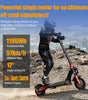 TWOFISH V4 MAX Electric Scooter – 800W Motor, 57km/h Top Speed, 60km Range, NFC Unlock, Dual Disc Brakes & Dual Suspension（EU）