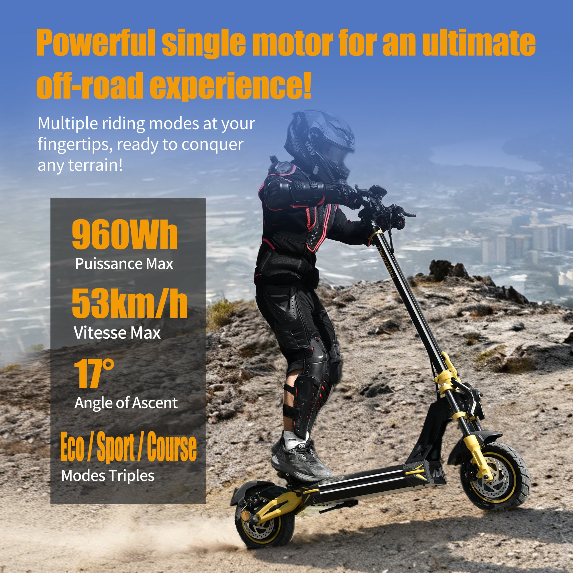 TWOFISH V2 MAX Electric Scooter – 800W Motor, 25km/h Limited Speed, 50km Range, NFC Unlock, Dual Suspension & Disc Brakes (EU)