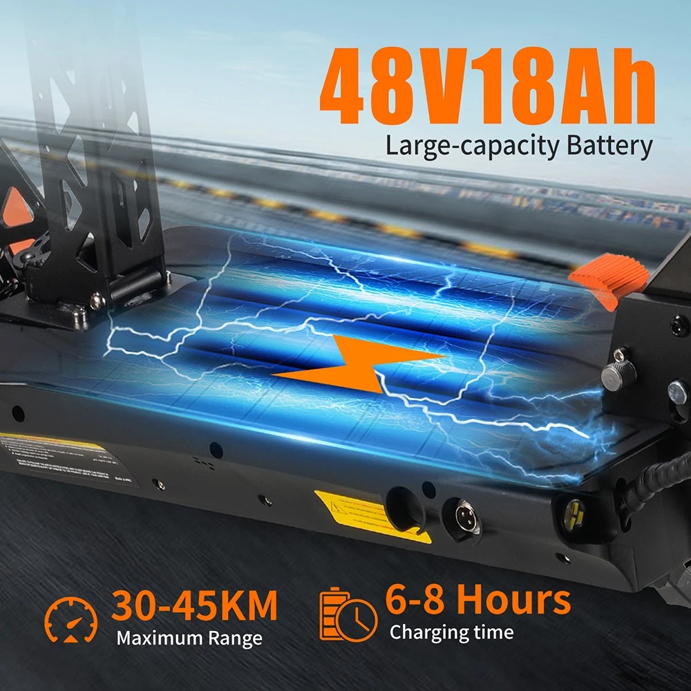 TWOFISH V5 MAX Electric Scooter with Seat – 800W Motor, 45km/h Top Speed, 45km Range, Dual Suspension & Disc Brakes（EU）