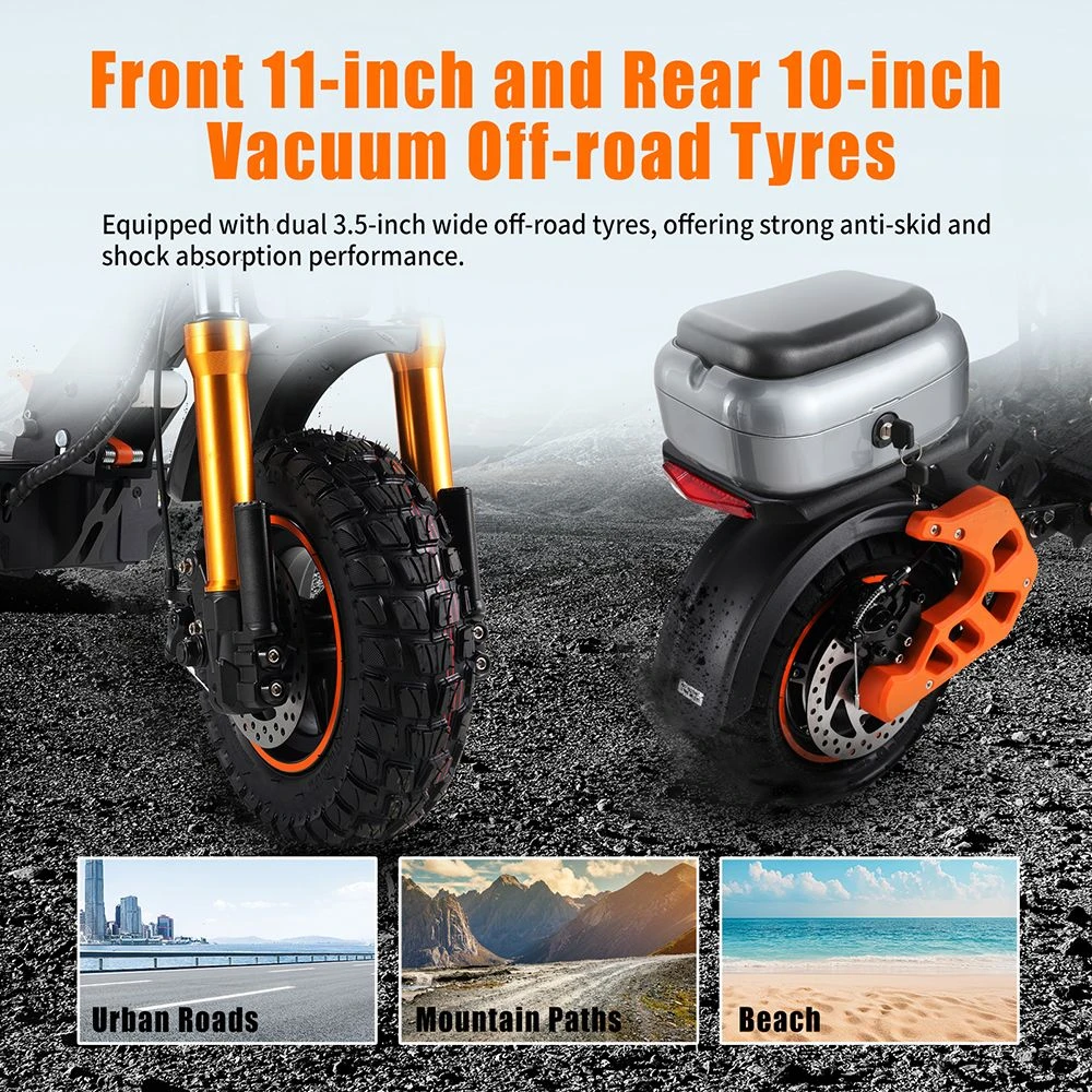 TWOFISH V5 MAX Electric Scooter with Seat – 800W Motor, 45km/h Top Speed, 45km Range, Dual Suspension & Disc Brakes（EU）
