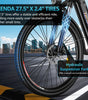 TESWAY WALKER Electric Bike (CA)
