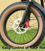 DYISLAND LD-200PLIS Hydraulic Disc Brake Caliper
