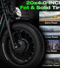 PHILIAM ET9 Dual Motor Electric Bike for Adults, 3000W Peak Power, 52V 50Ah Dual Battery, Up to 200 Miles Range, 31MPH Speed, 20"x4" Fat Tires, Hydraulic Brakes, All-Terrain Cargo E-Bike（EU）