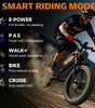 Philiam FX1 52V 32/23AH Battery, 5000W/3000W Peak Dual Motor 26”Fat Tire Full Suspension E-Bike (US)